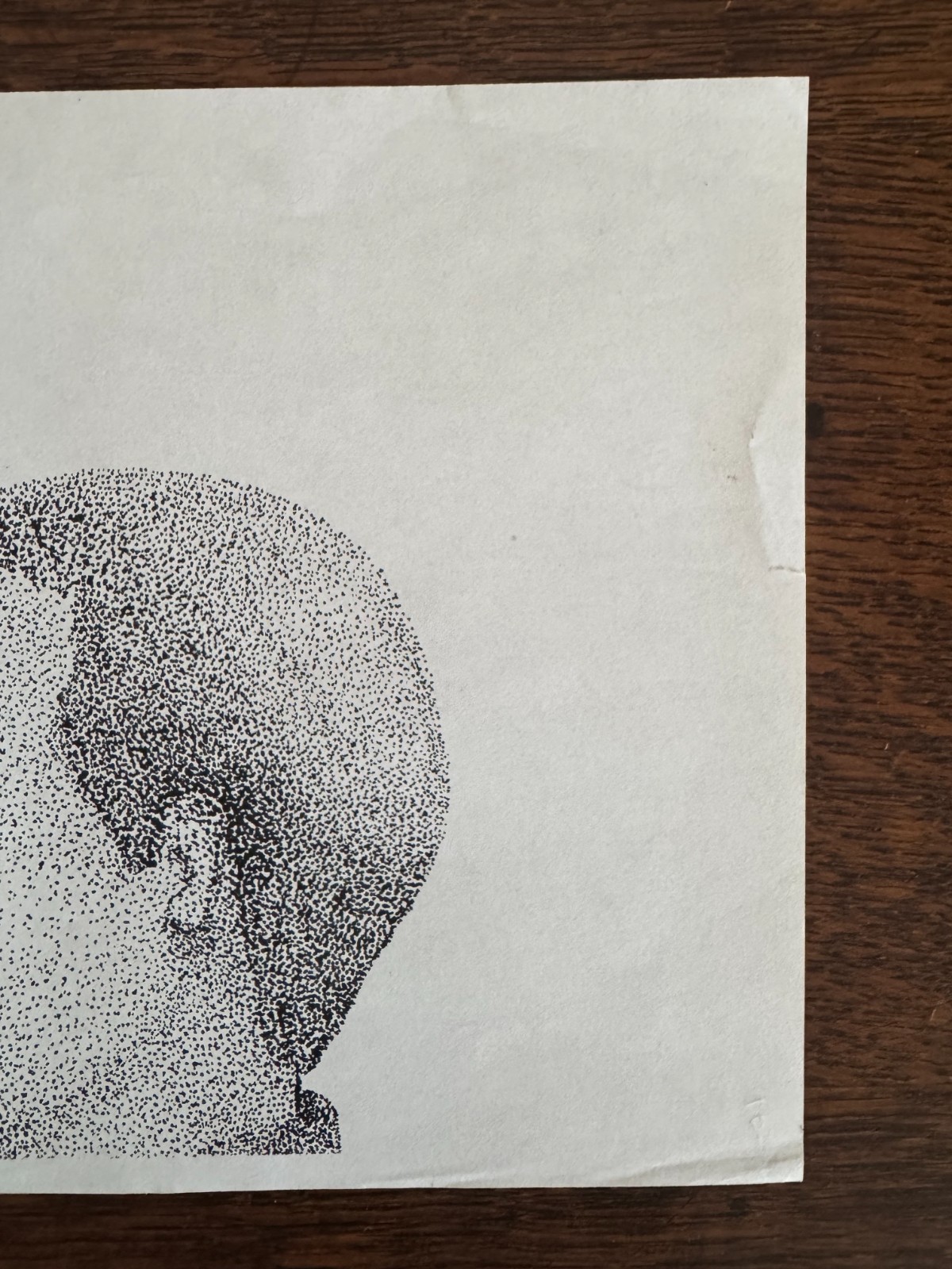 Original Pointillism Young African-American Woman Pen Portrait Drawing 8.5"x11"