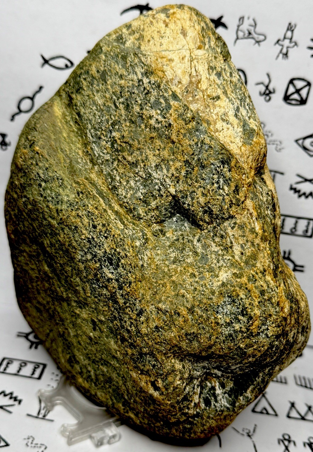 Native American Indian Authentic Artifact Stone Carved Effigy, 8 lb 2 oz • VA