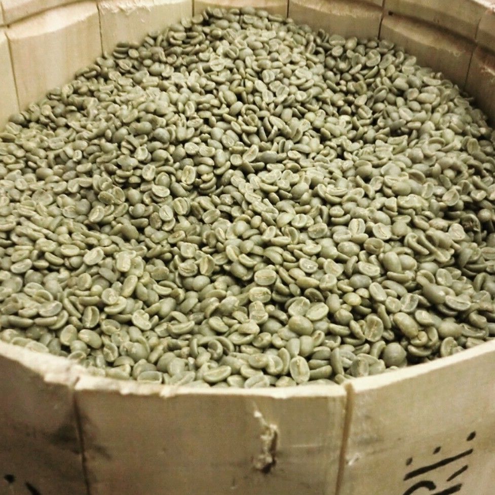 100% Jamaican Blue Mountain Coffee Beans Medium Roasted 1 Pound Bag