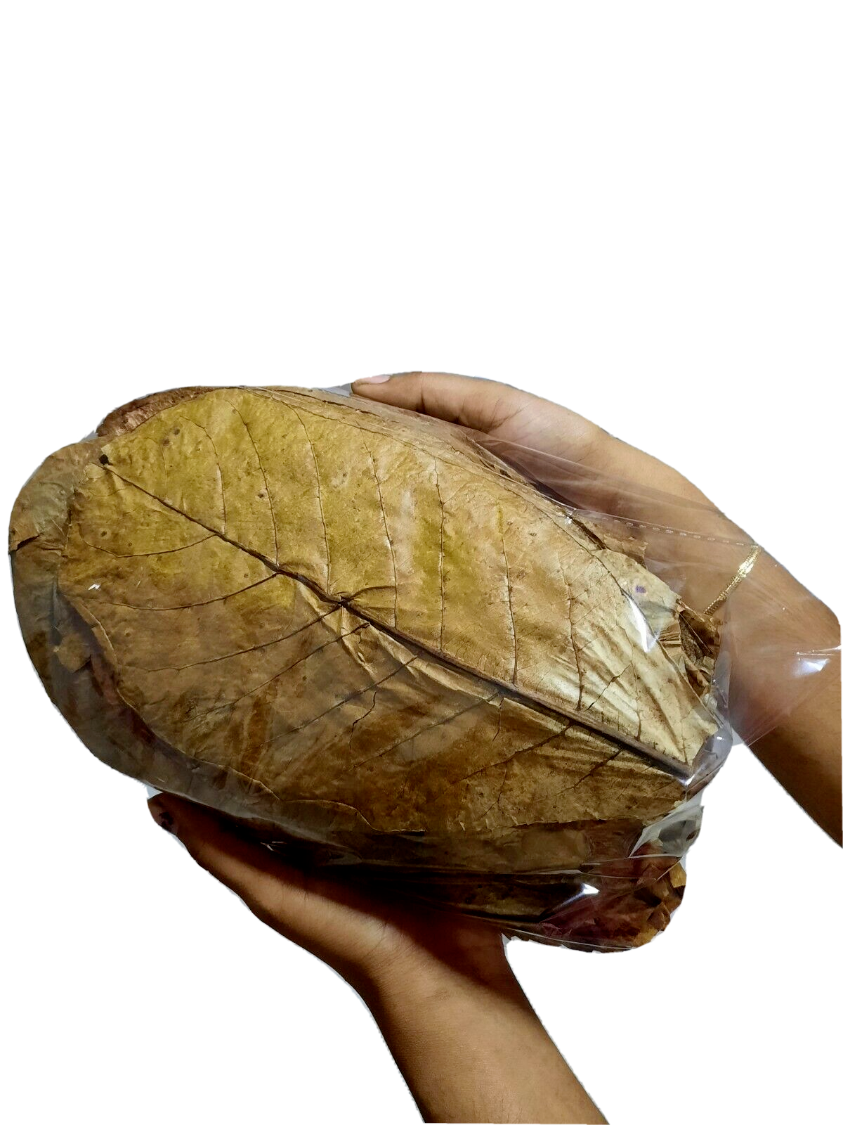 120g LARGE Indian Almond Catappa Ketapang Leaf Leaves Aquarium Betta Fish Shrimp