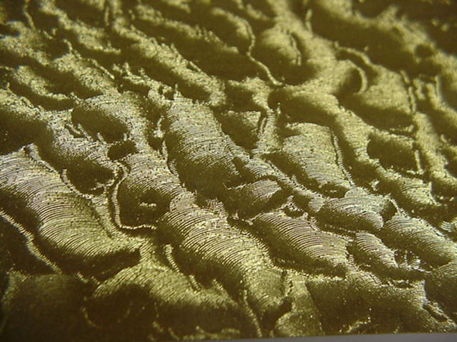 Gold Leaf or Silver Leaf  Sign Vinyl, pick color + size, Sticky Outdoor USA made