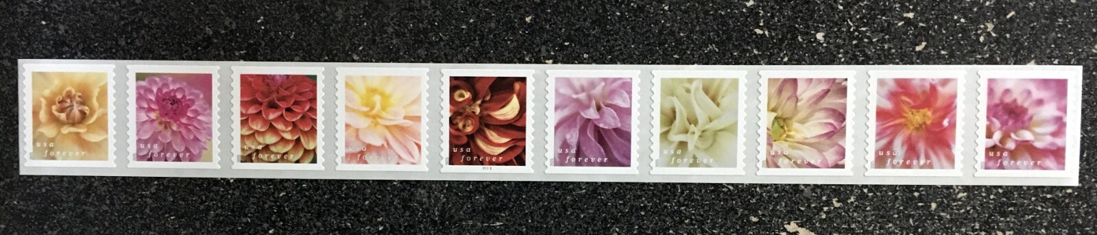 2025USA #5982-5991a Forever Dahlias - Plate Number PNC Coil Strip 10 Mint