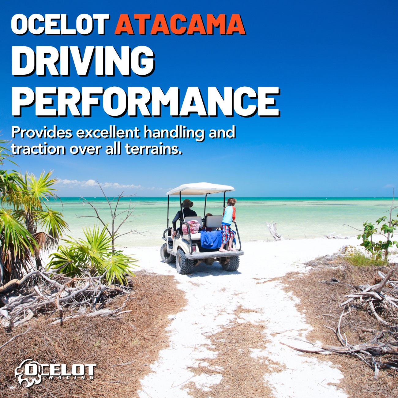 Ocelot Atacama A/T 22x11-12 Golf Cart Tire - Set of 4