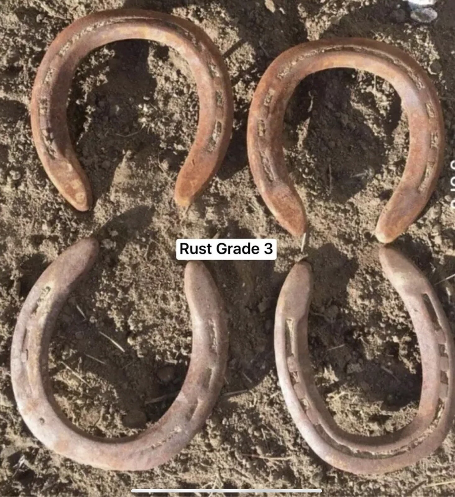 Horse Shoes, Ridden In The Rocky Mountains; Horse Shoe; Horseshoe; Horseshoes