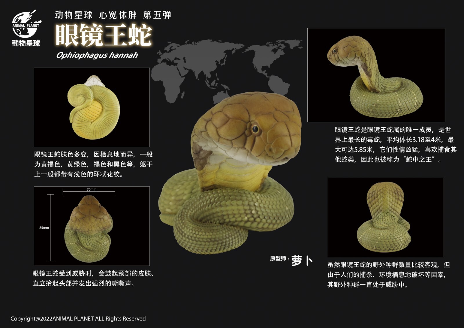 【In-Stock】 Animal Heavenly Body Ophiophagus King Cobra Collectible Snake Statue