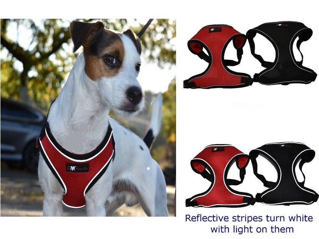 Dog Breathable Reflective Mesh Collar Harness-Travel Walk Seat Belt No Pulling