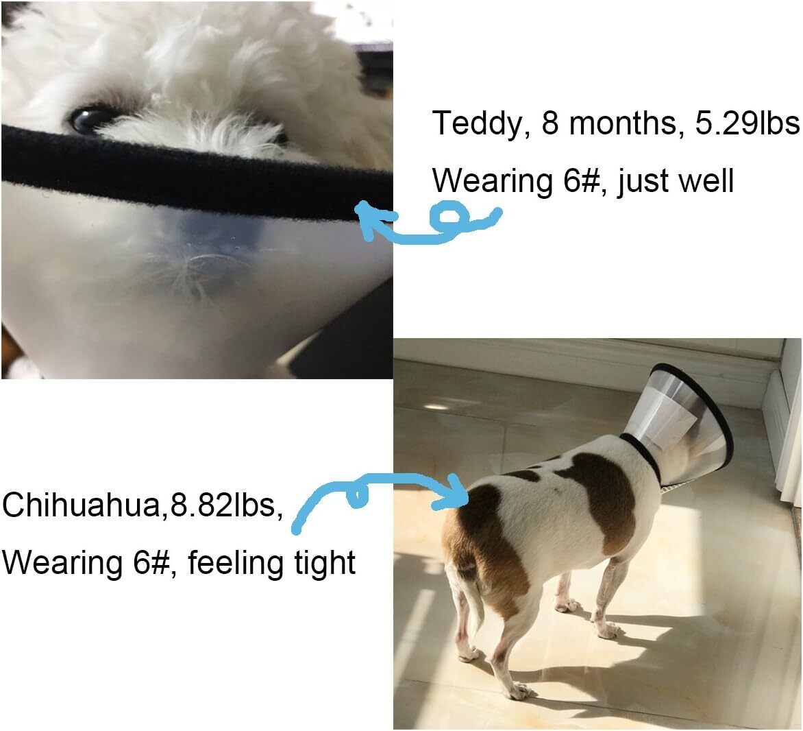 Adjustable Recovery Pet Cone E-Collar for Cats Puppy Rabbit, Plastic ...