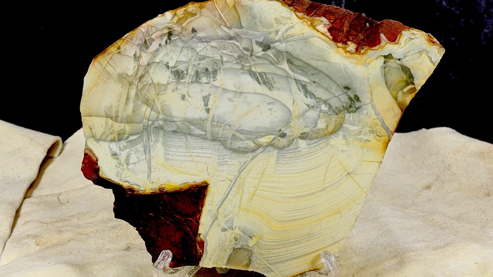 A+ Willow Creek Jasper Slab, Lot #194