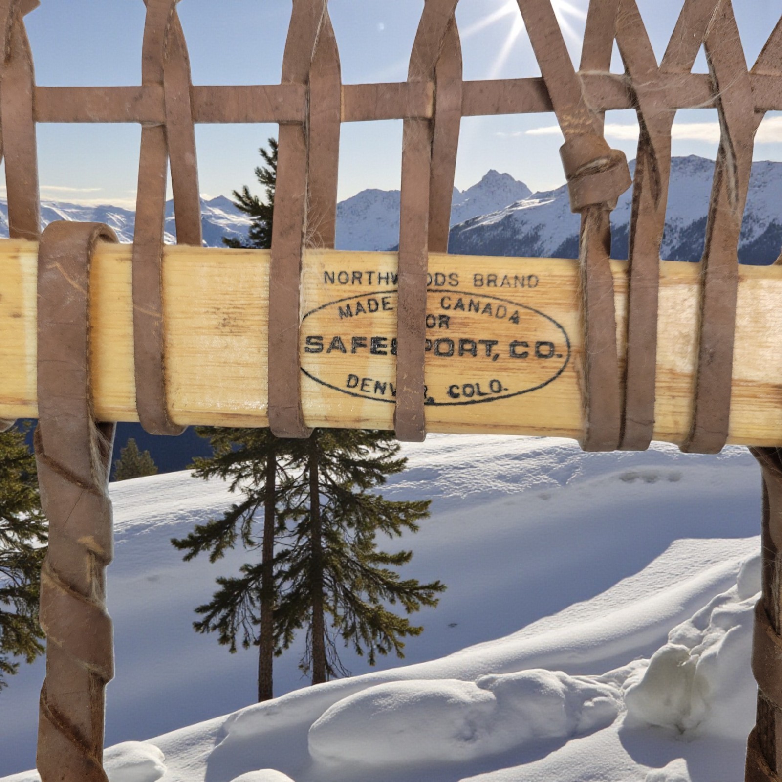 Vintage Snowshoes Northwoods Brand Made In Canada 56" x 10" Safesport Denver CO.