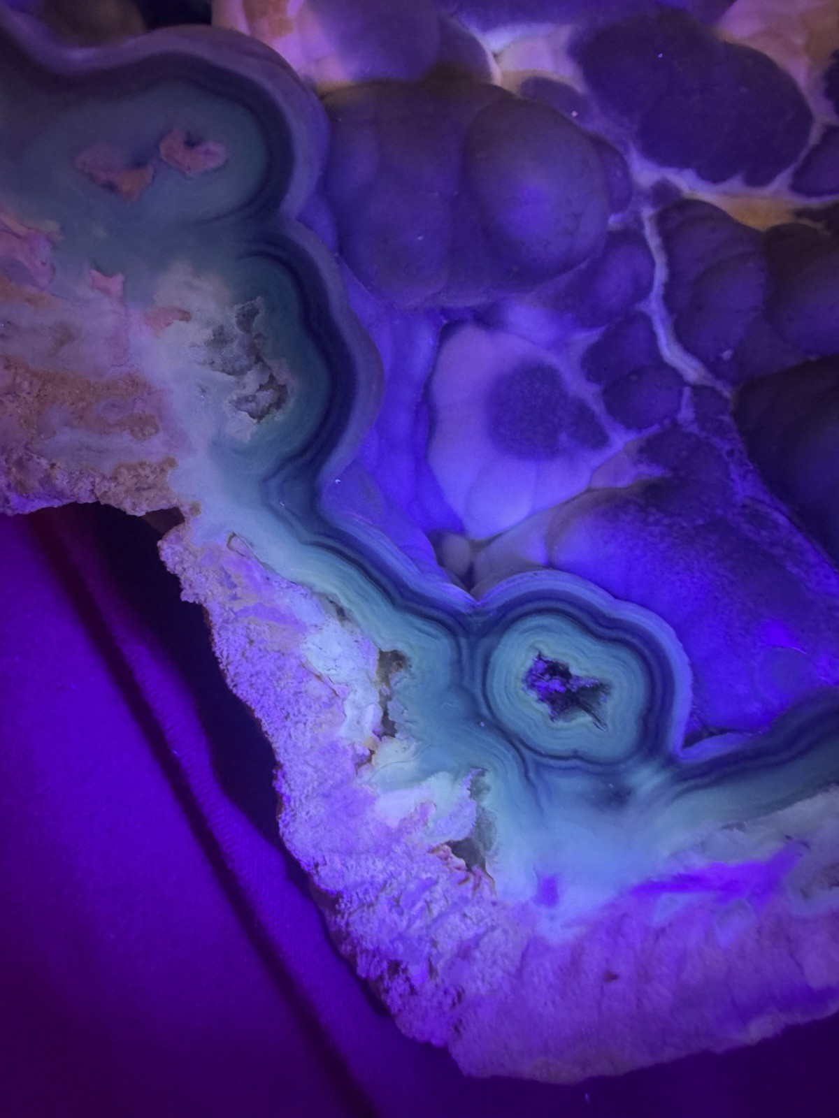 Rare Agatized Coral Fossil Geode -Large, Rare Colors!