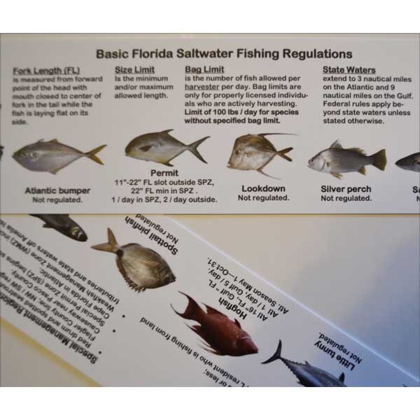 Super-Flex Fish ID & Regulations Ruler - Florida