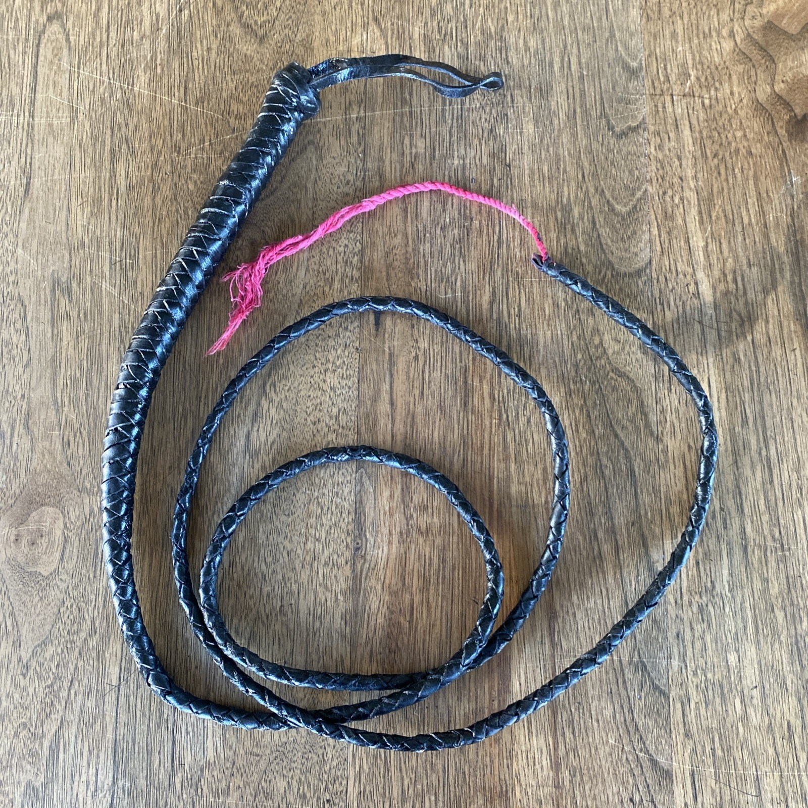 Leather Bull Whip Black 6+ Feet Genuine Cow Hide Equestrian Bullwhip