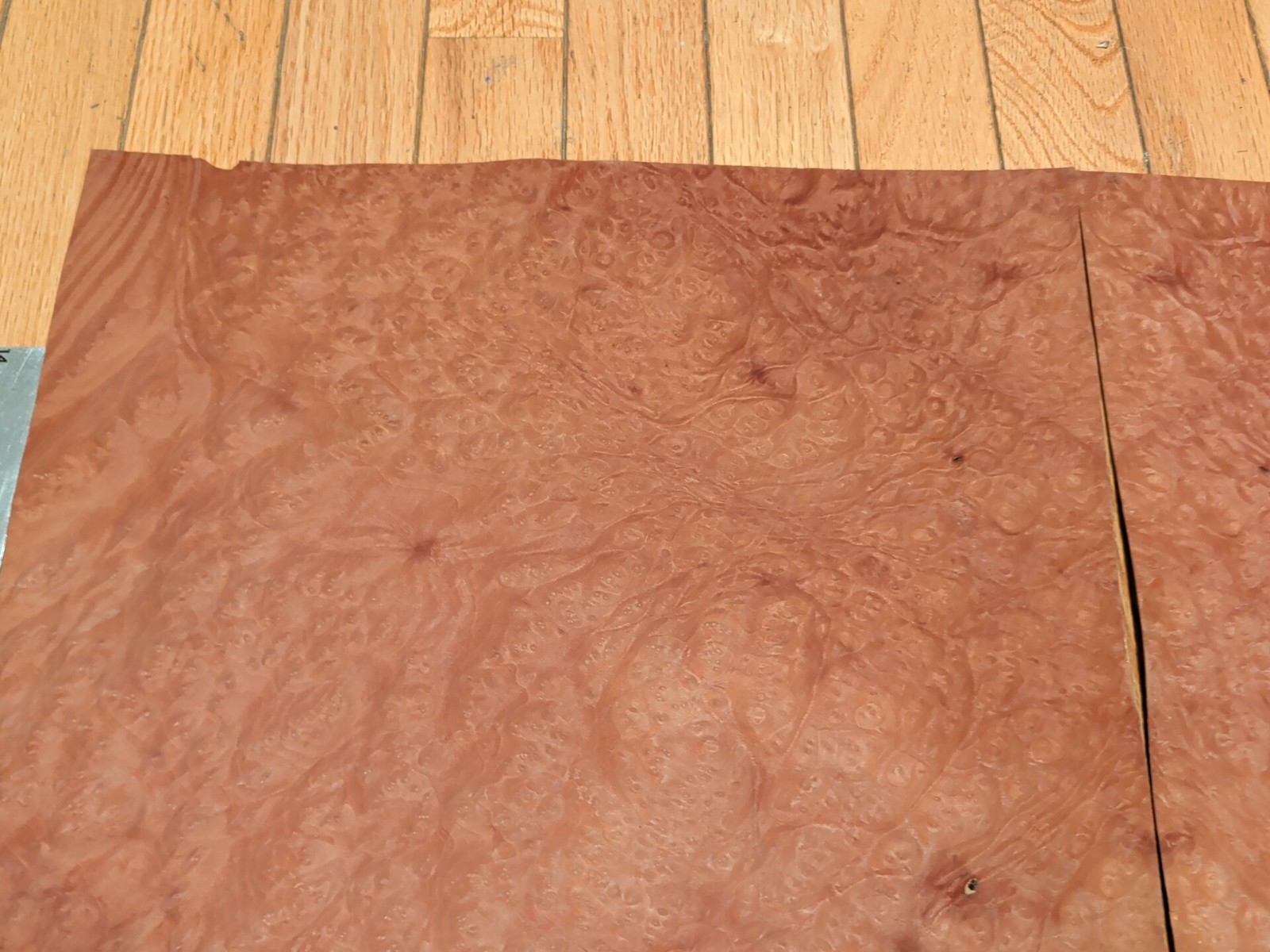 Madrone burl veneer 14 3/4" x 15 1/2" each, 2 pieces wood 1/42" raw