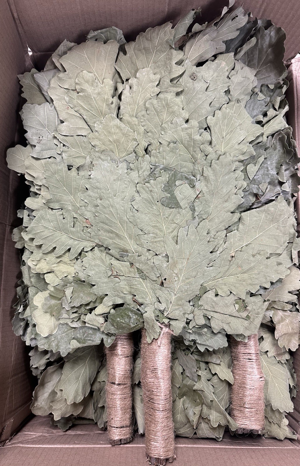 4 Oak Venik Sauna Broom Sauna Banya КАВКАЗСКИЙ ДУБОВЫЙ ВЕНИК БАННЫЙ