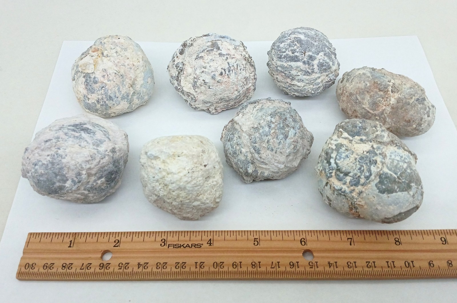 Bulk 2 Pound Group of Small Utah Dugway Geodes Thundereggs 1.50-2.00"