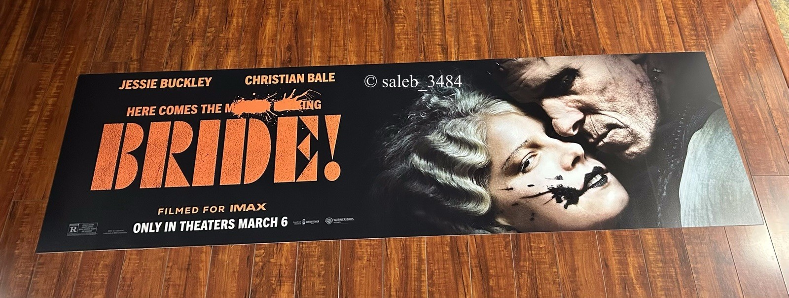 The Bride 2026  Dr.Frankenstein Horror/Sci-fi Film BUS BENCH MOVIE POSTER