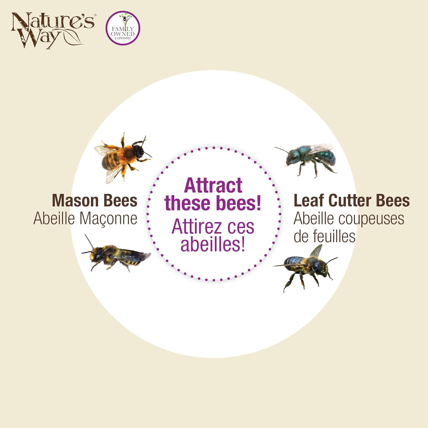 Mason Bee House Pollinator Bee Hotel Garden Solitary Bee Nesting Box