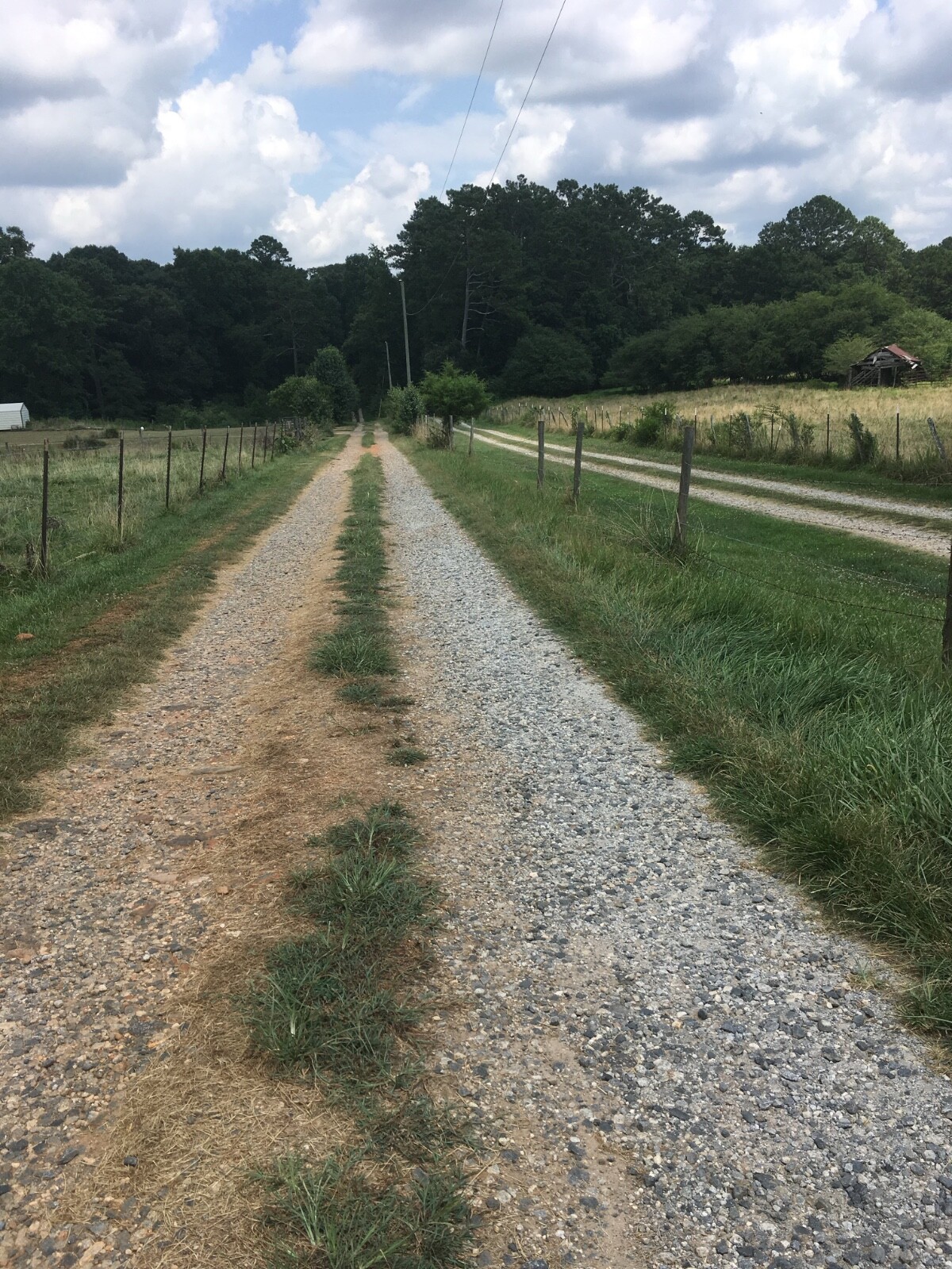 Mystery Farm Treasure – Real Surprise Item From a Small Family Farm!