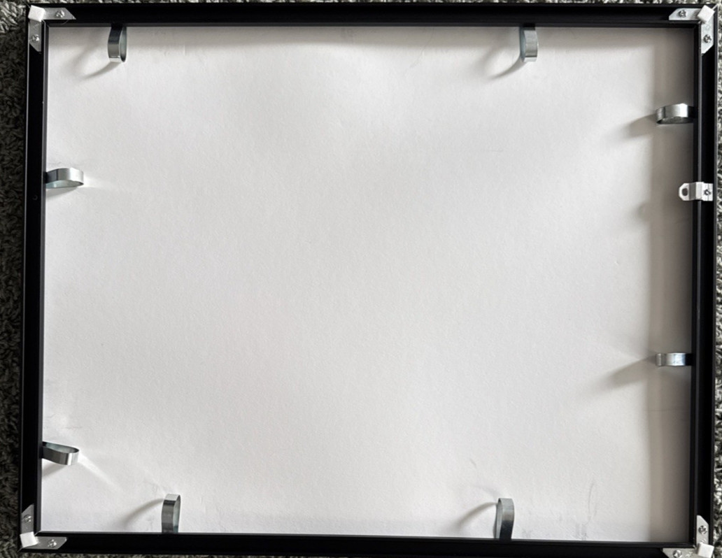 Santa Cruz Catalyst Music History Neil Young/The Ducks 6-pc bundle RARE COOL