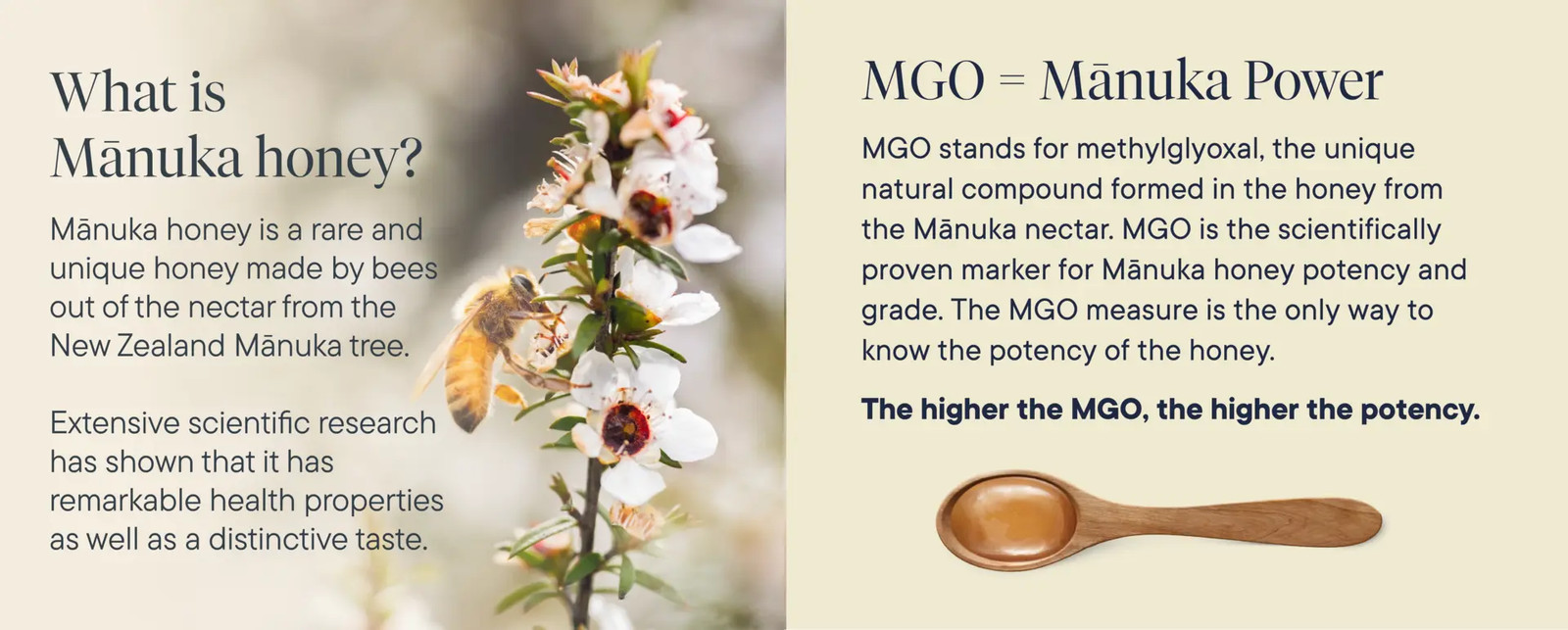 Manuka Honey Raw UMF 20+ MGO 850+ Manuka Health 8.8 oz New Zealand Certified