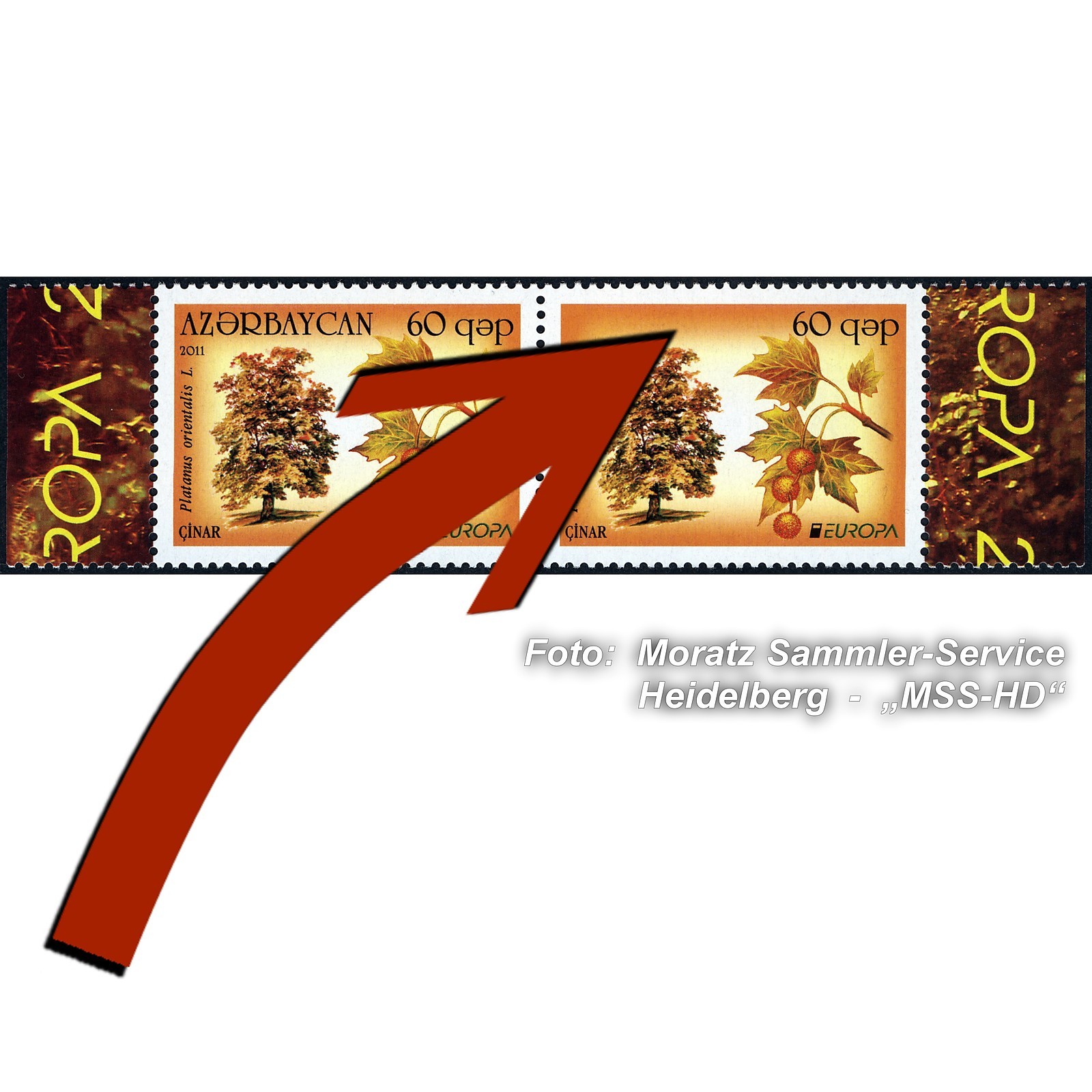 Azerbaijan Europe CEPT 2011, ERROR missing country name, Michel 841 I