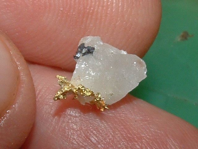 GOLD MATRIX SPECIMEN .47 GRAM CALIFORNIA GOLD IN QUARTZ