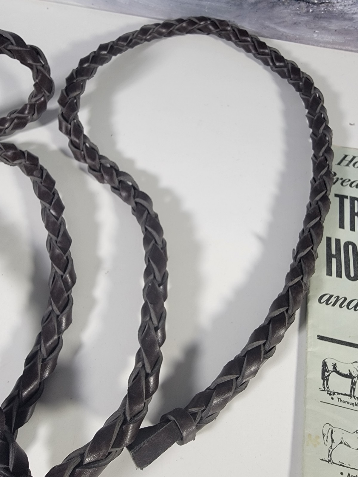 SET: VTG Genuine Brown Leather Bullwhip 100 inches Long Heavy Duty whip + 3 Book