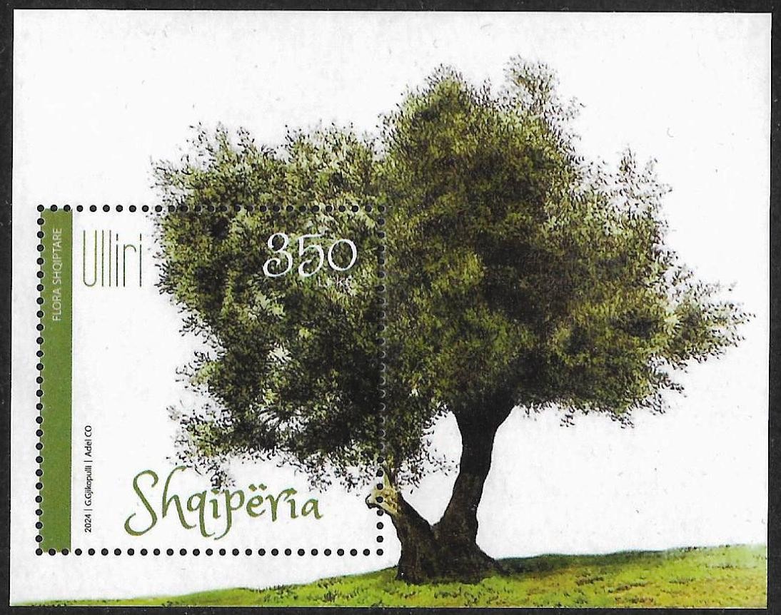 ALBANIA 2024 - " Albanian Flora - Olive " - Block MNH