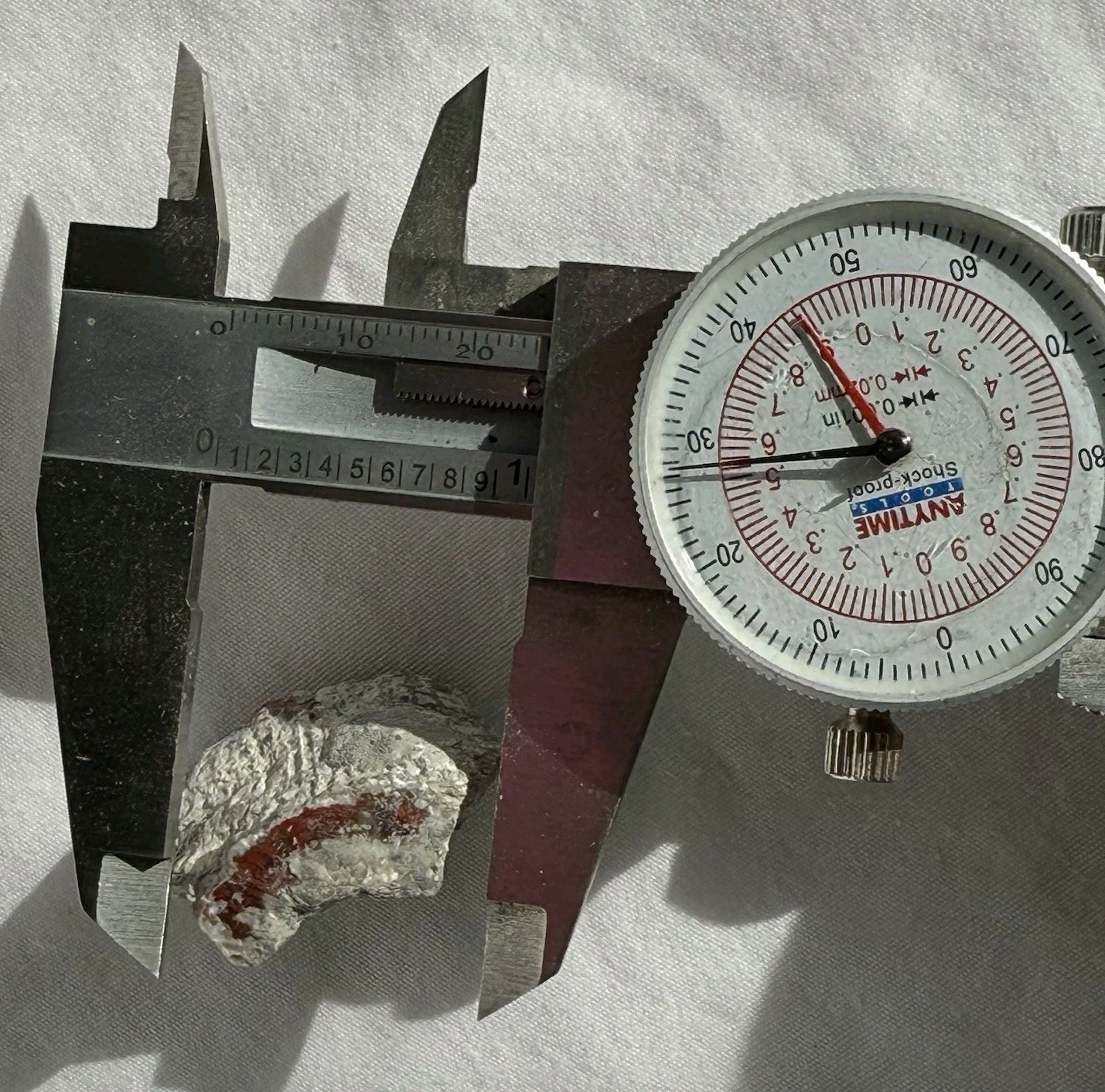 ~28 grs Polished Red Horn Coral Riley's Canyon, Utah Fossil Rugosa / display cab