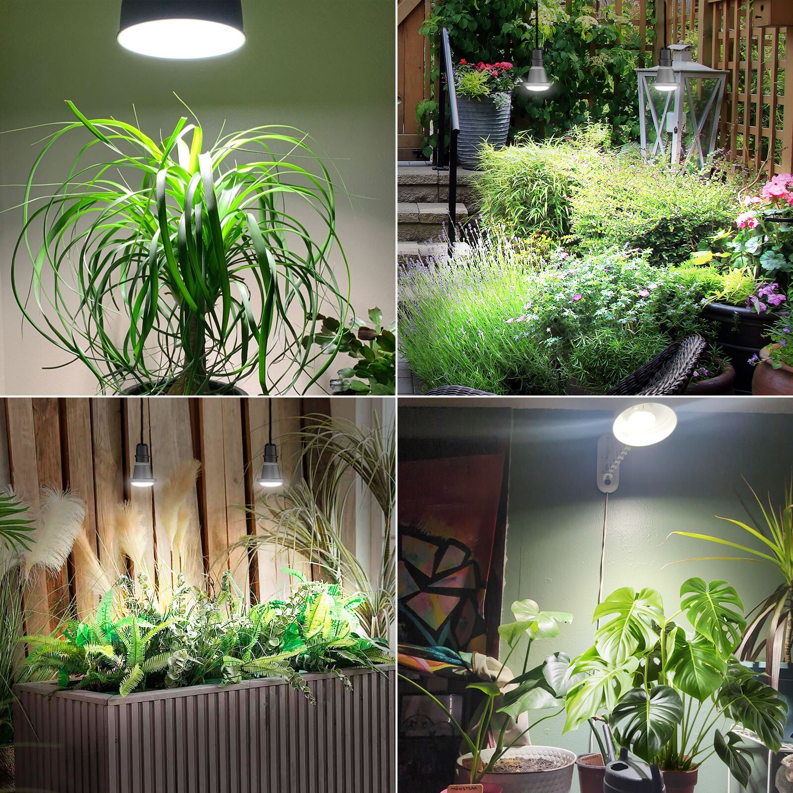 SANSI LED Grow Light Bulb 12W 60W Equiv.Full Spectrum Waterproof Houseplants E26