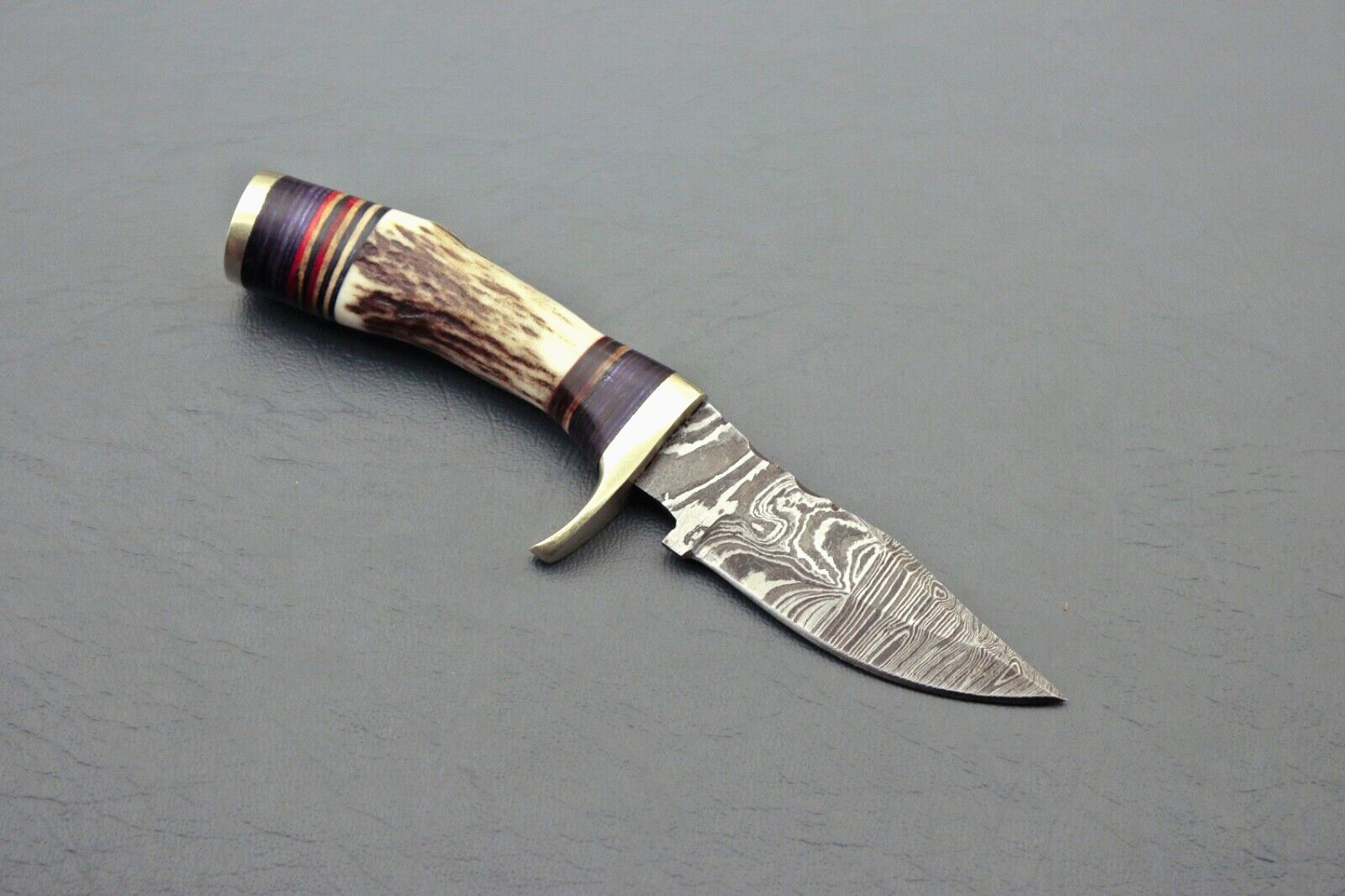 Stag Antler  Horn Hunting Knife Forged Damascus Steel Fixed Blade (6 inches)