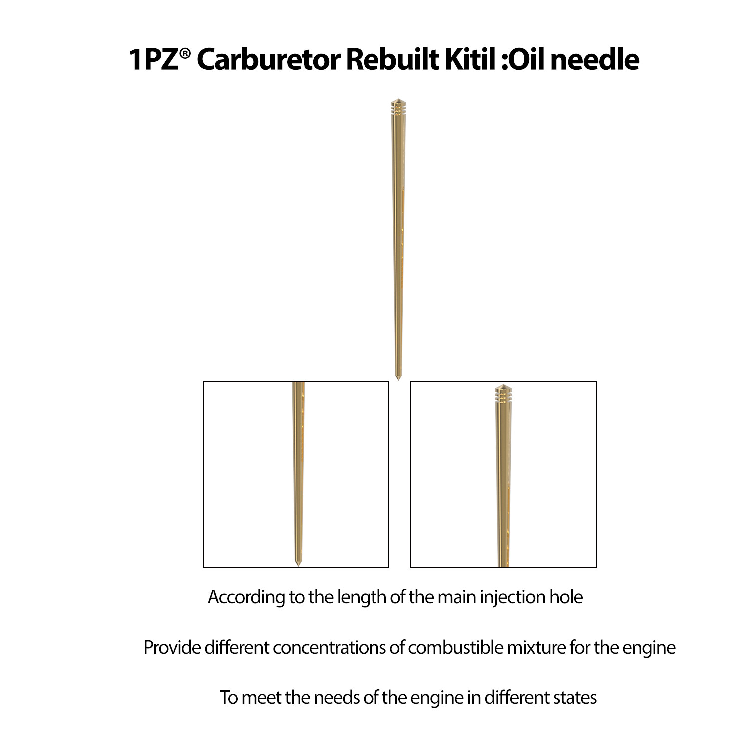 Carburetor Carb Rebuild Kit Honda Recon 250 TRX250TE TM Sportrax 250 TRX250EX