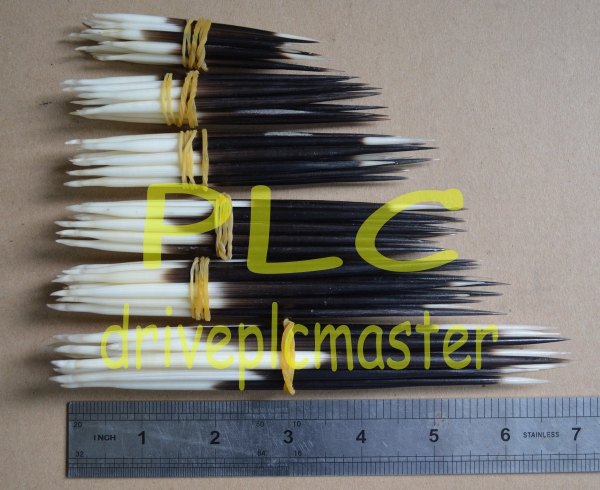 10pcs Porcupine Quills Jewelry Craft Hair Stick Weaving Beading Assorted Craft #