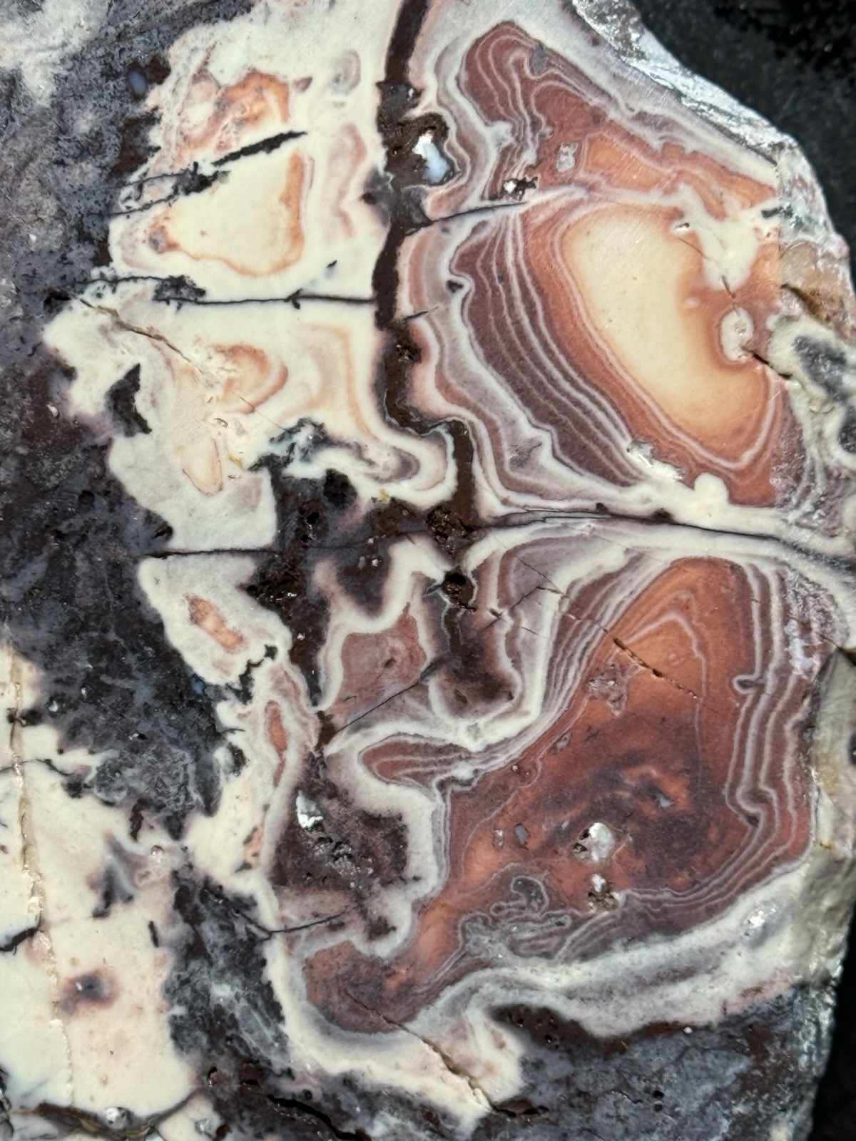 SCIFI PORCELAIN EXOTICA  JASPER SLAB - UNPOLISHED Lapidary Rough Rock Mineral