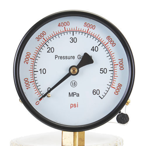 Diesel Injector Nozzle Tester Pop Pressure Dual Scale 600-8000 PSI W/Filter
