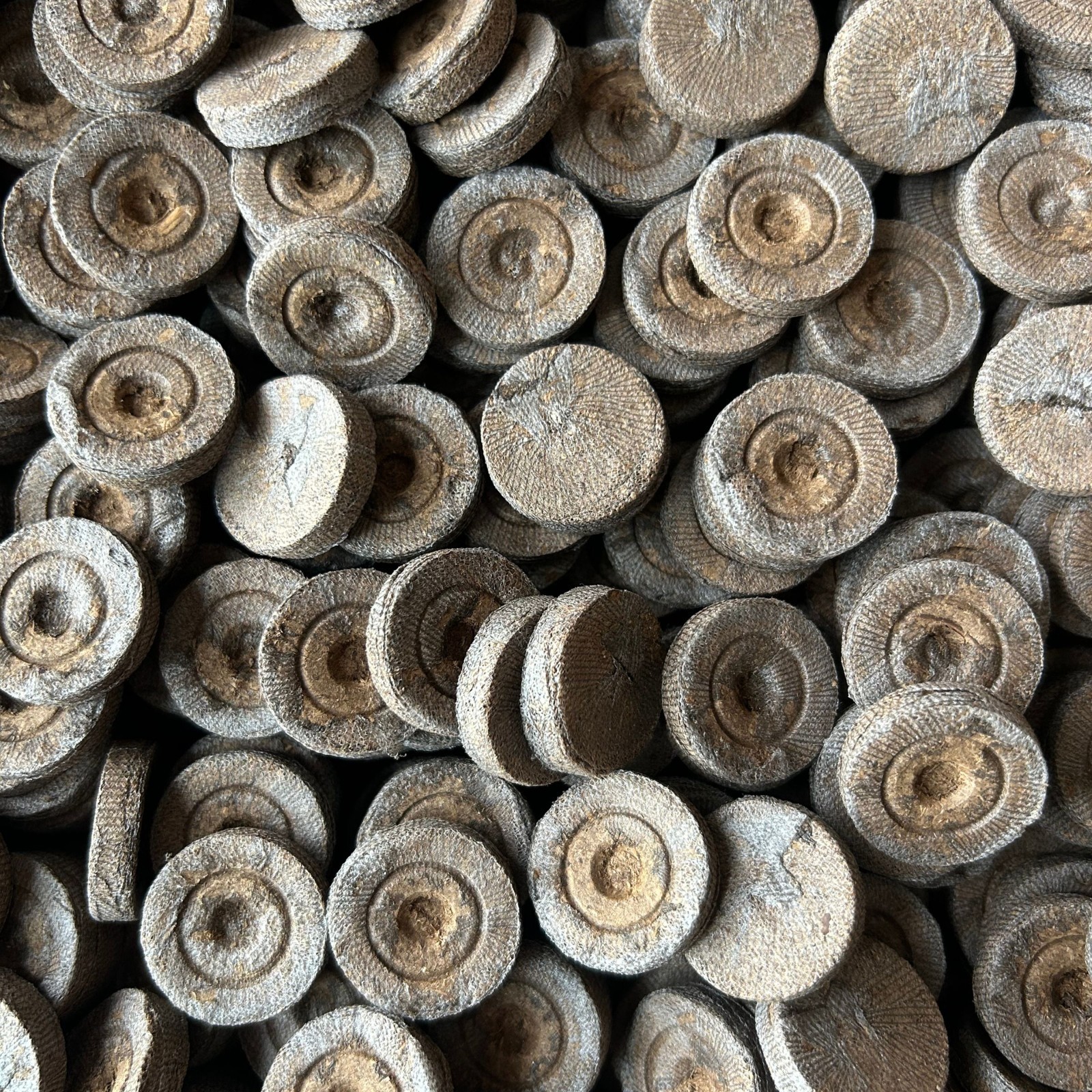 Jiffy Peat Pellets 25mm Seed Starting Pods Choose 10 25 50 100 Pack Seed Starter