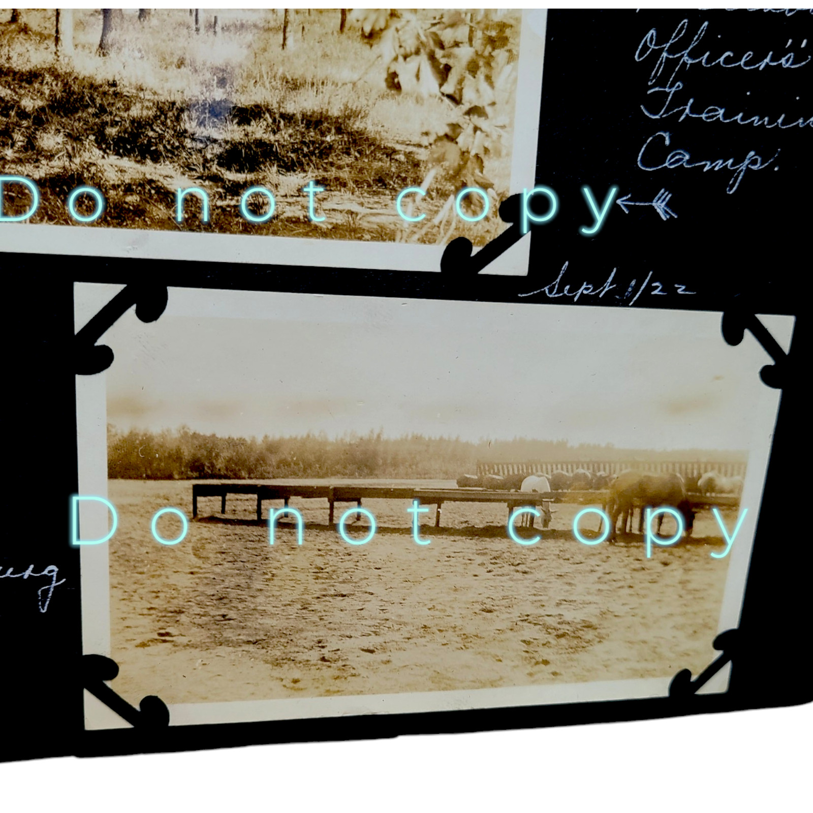 1920 Vintage Plattsburgh NY OFFICER's CAMP ORIGINAL Photo Lot Tents Mules