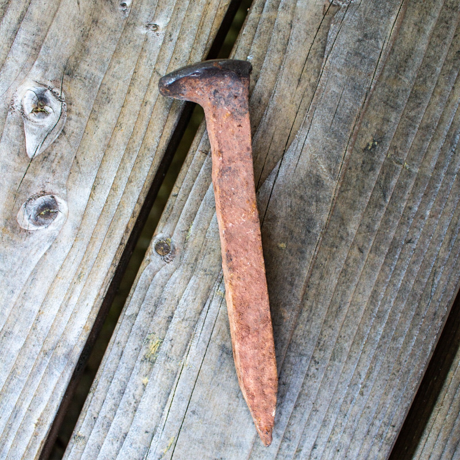 Grandpa 1870 Antique Square Nail used for Goldmine West Rim Grand Canyon Arizona