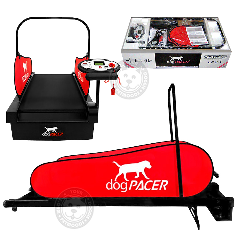 dogPACER Dog Treadmill Folds Portable Small Med Large Dogs 1-179 lbs NEW