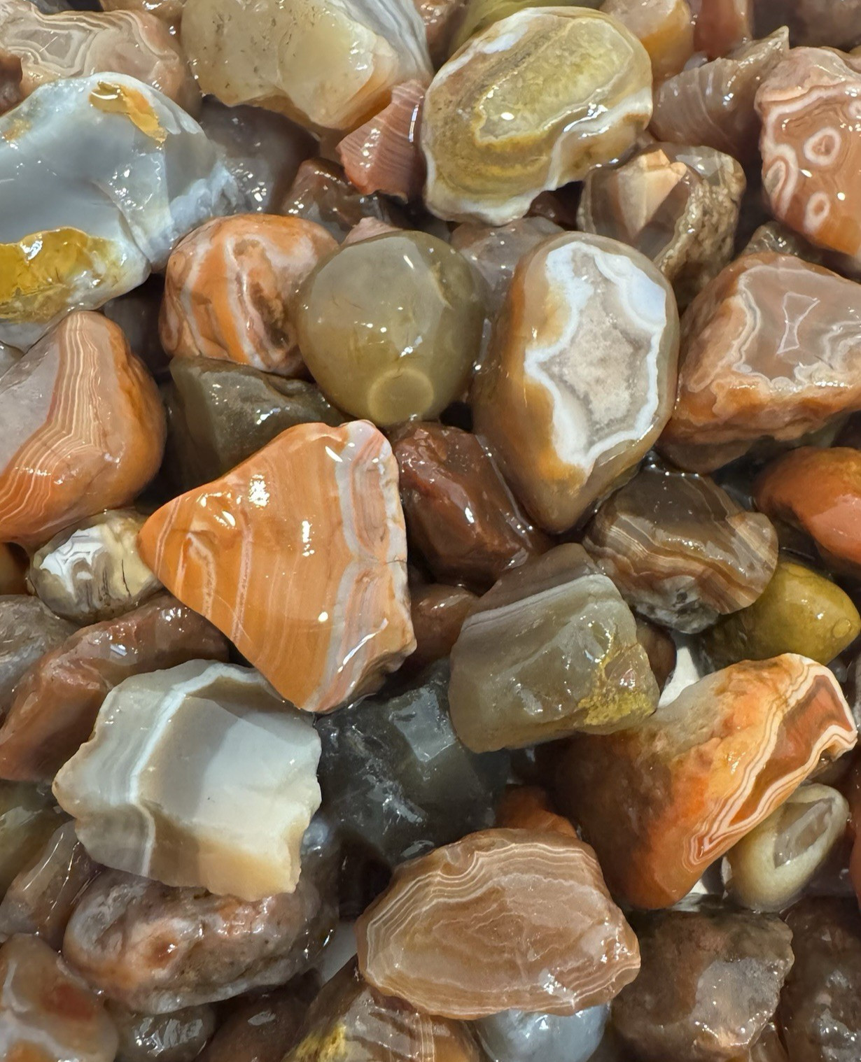 One Pound Lot 🔥 Lake Superior Agates * Free Shipping! Over 100 Unique Gems 1lb.