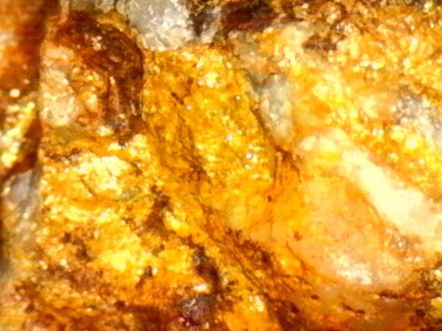 Gold Ore Specimen /Quality Visible Gold