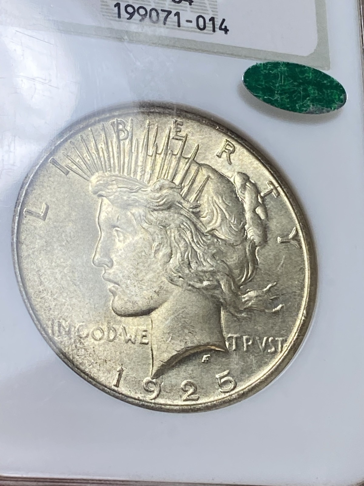 1925 Peace Dollar NGC MS 64 CAC No Barcode Fatty Nearly Full Holo Sticker