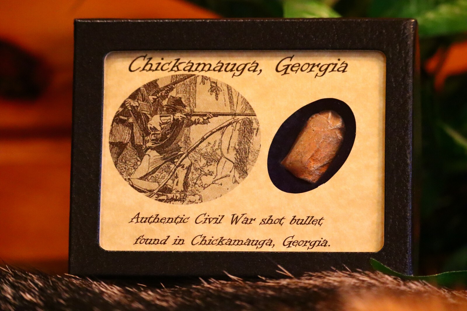 Shot Bullet Relic from The Battle of Chickamauga, GA with Display Case and COA