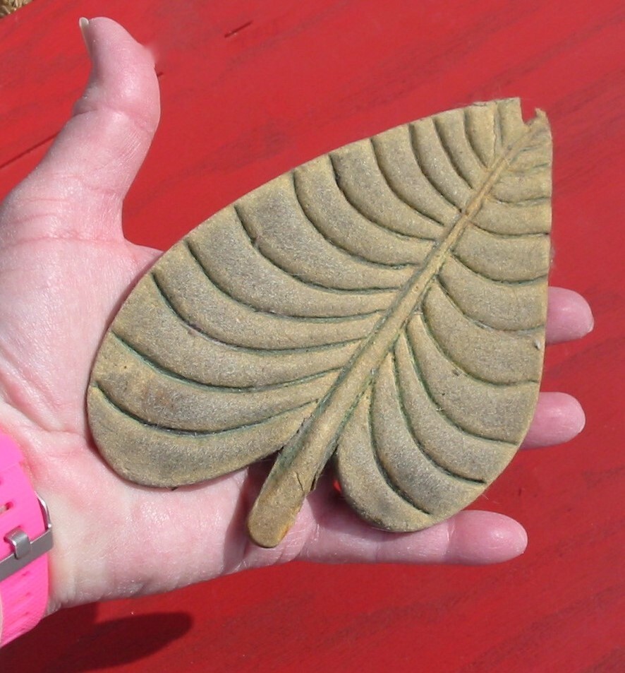 HUGE Rare Vintage Millinery Leaf Tool Mold Bronze Antique Cutter SET #23