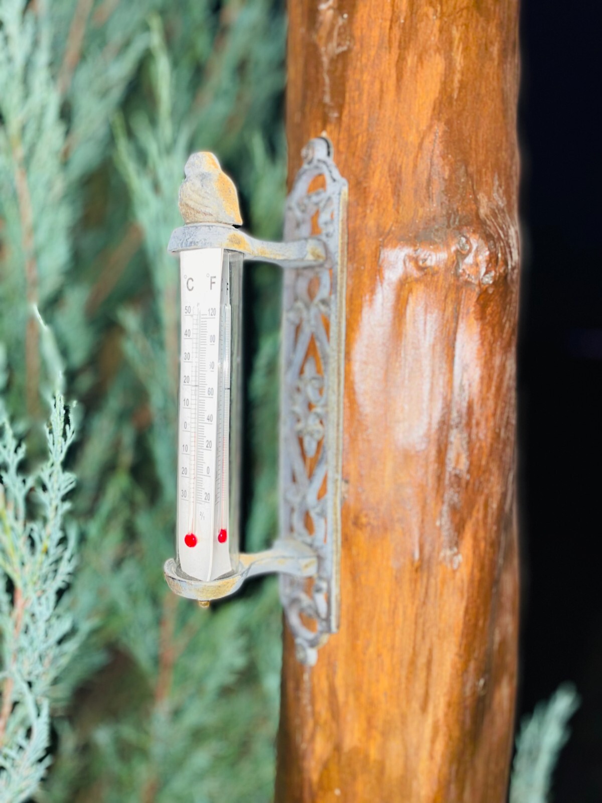 Metal Cast Iron Thermometer Bird Wall Indoor Outdoor Farmhouse Garden Decor NEW