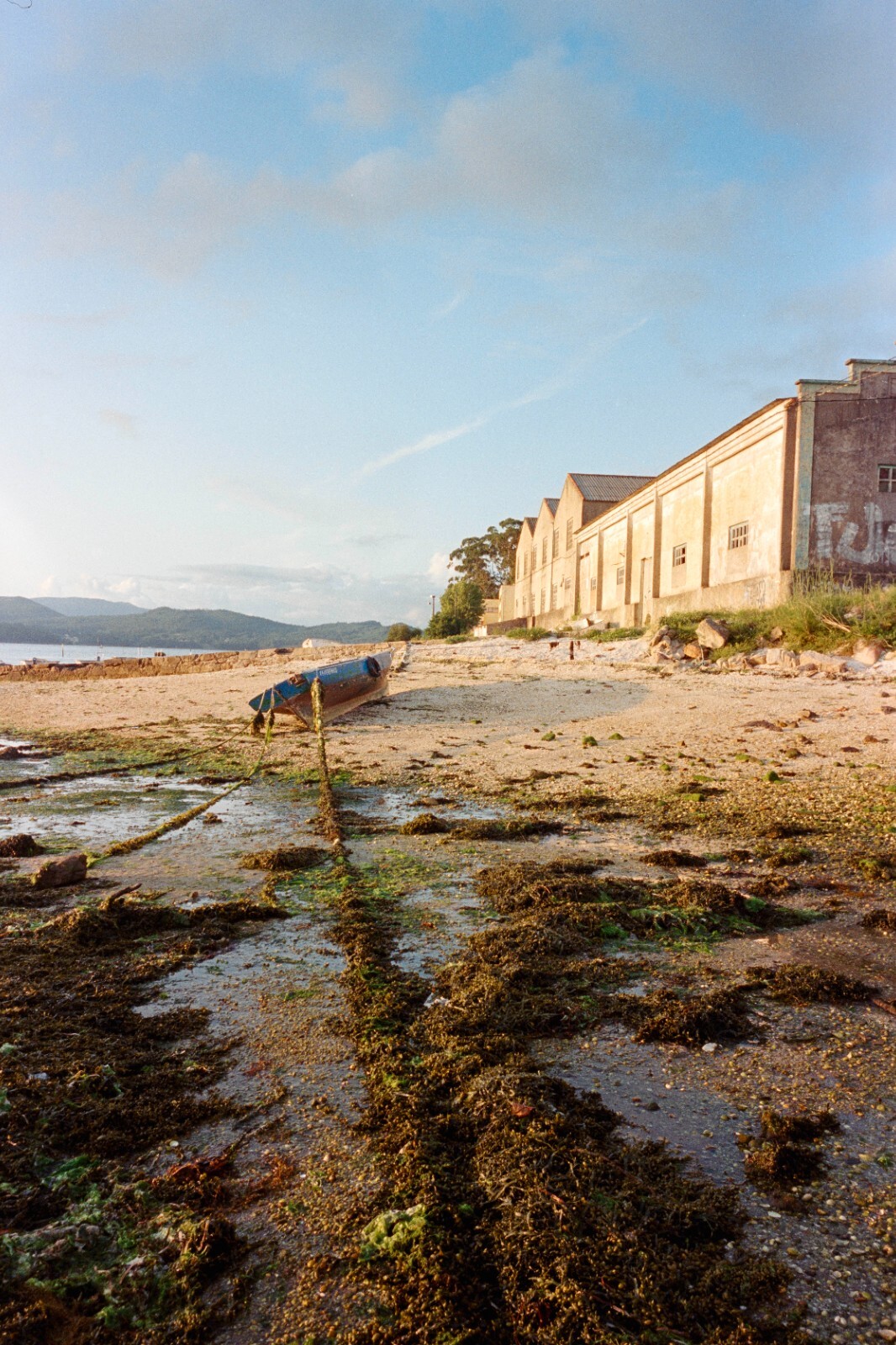 30m Dealer's V3 250D, RESPOOLED Kodak Vision 3 AHU, NO REMJET C41 35mm Film Bulk