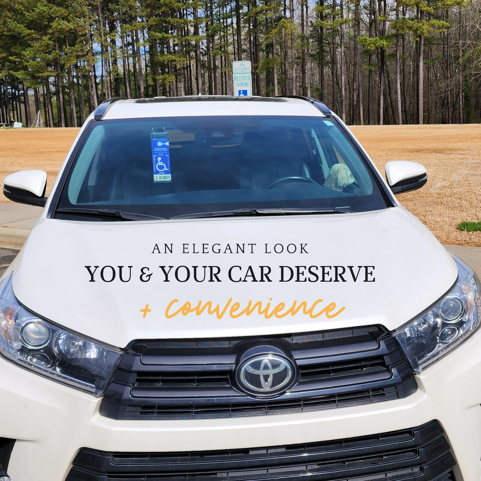 JL Safety Visortag Vertical- Best & Sturdiest Handicap Placard Holder Available!