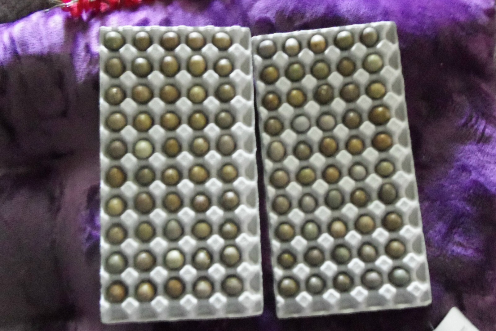 6+ with Up To 4 extra Button Quail Hatching Eggs