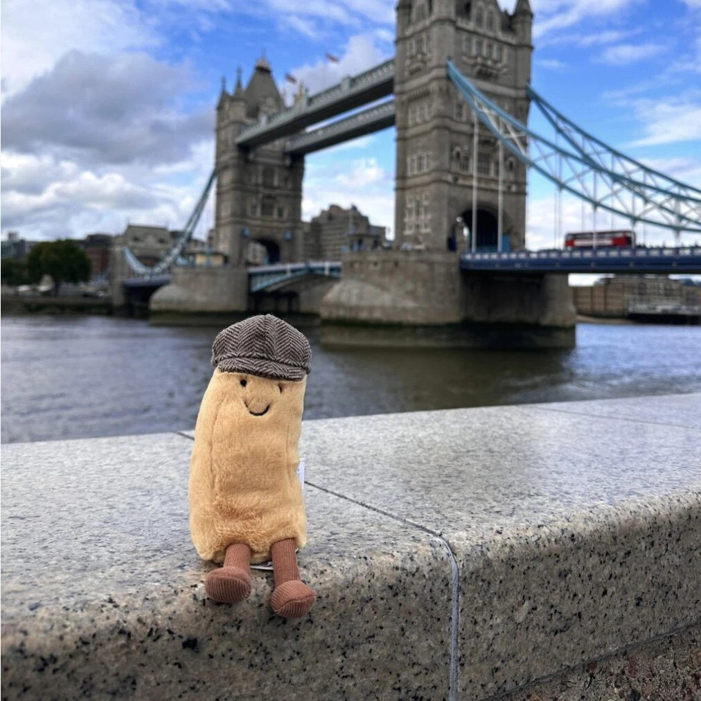 Jellycat CHARLIE Exclusive Selfridges Fish&Chips Toy-NWT+Dust Bag