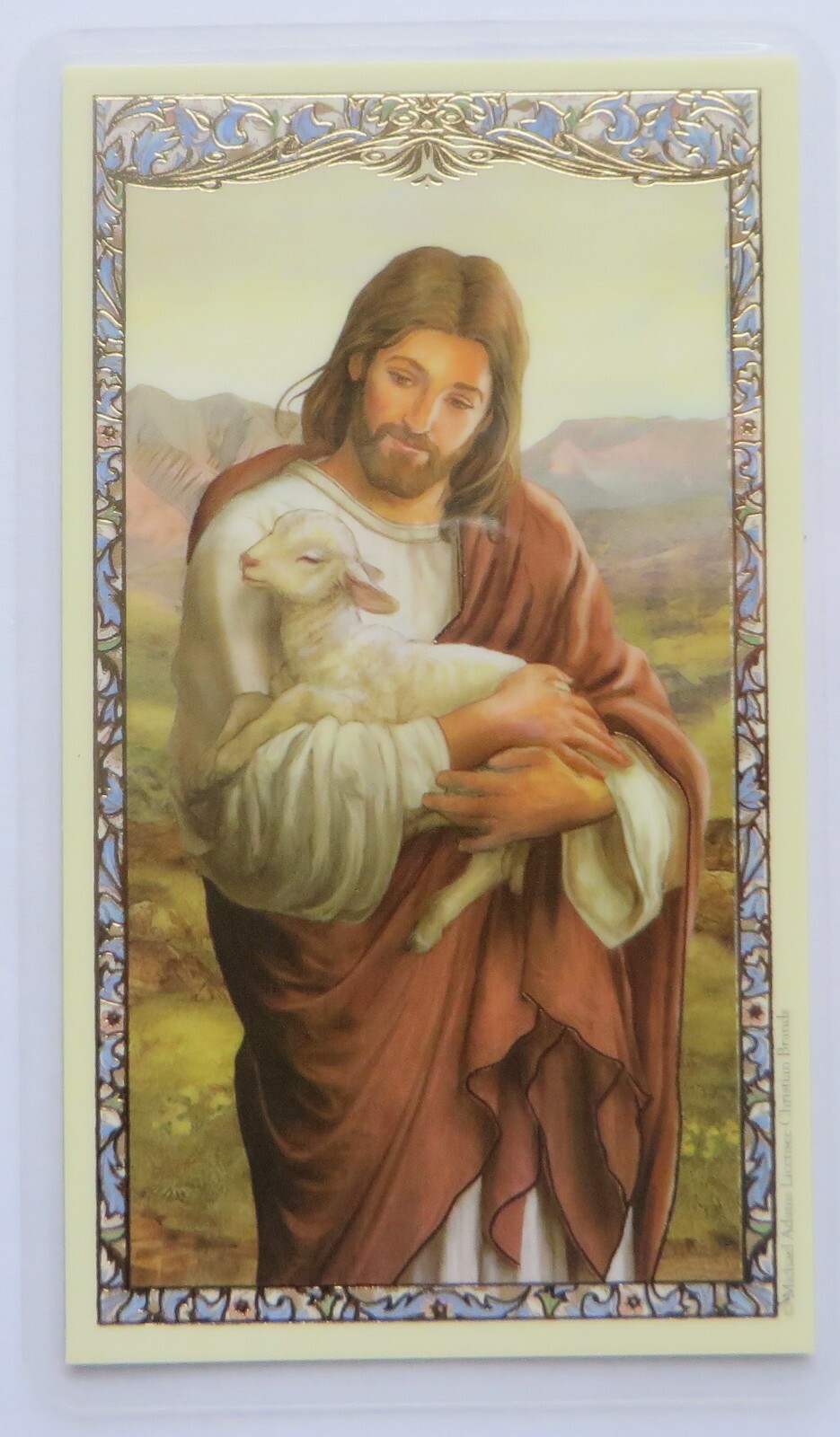 Act of Contrition - Laminated Holy Card